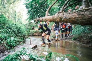 BIB: 
                            <button type="button" onclick="openModal(25517671)" class="btn btn-primary btn-sm float-right btn-popup" data-toggle="modal" data-target=".modal-high-quality">
                        <i class="fas fa-shopping-cart"></i> Add to Cart
                    </button>
                                            <button type="button" onclick="isThisMe(25517671, true)" class="btn btn-success btn-sm float-right btn-popup btn-isme hidden" data-toggle="tooltip" data-placement="bottom" title="นี่คือรูปของคุณใช่ไหม คลิกที่นี่เพื่อเอาเข้าอัลบั้ม">
                        <i class="fas fa-plus"></i> Add to album
                    </button>
                    <button type="button" onclick="isThisMe(25517671, false)" class="btn btn-warning btn-sm float-right btn-popup btn-isnotme hidden">
                        <i class="fas fa-ban"></i> Remove from album
                    </button>